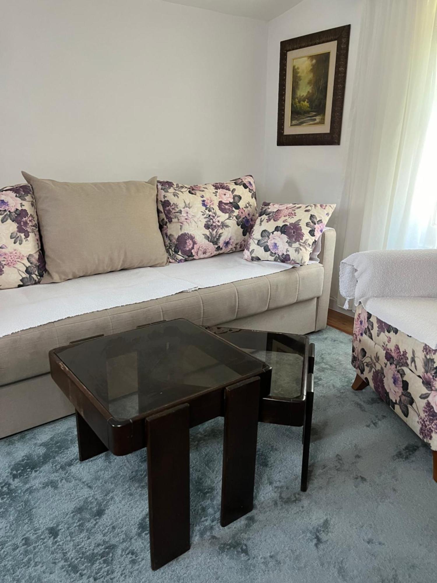 Tara Lapcici Apartament Budva