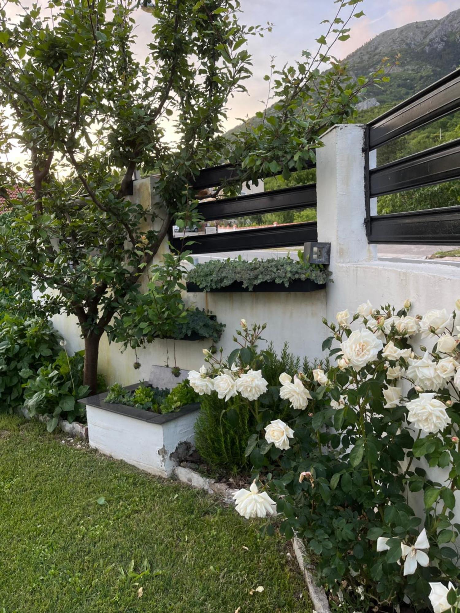 Apartment Tara Lapcici Budva